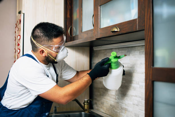  Westland, MI Pest Control Pros