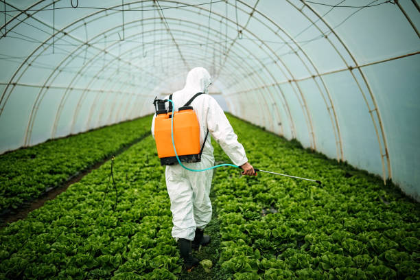 Best Pest Removal Services  in Westland, MI