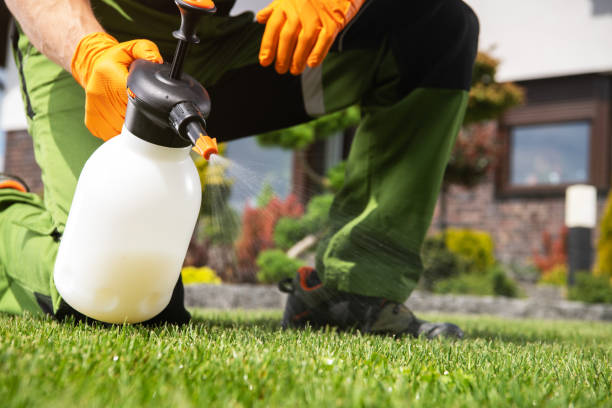 Best Best Pest Control Companies  in Westland, MI